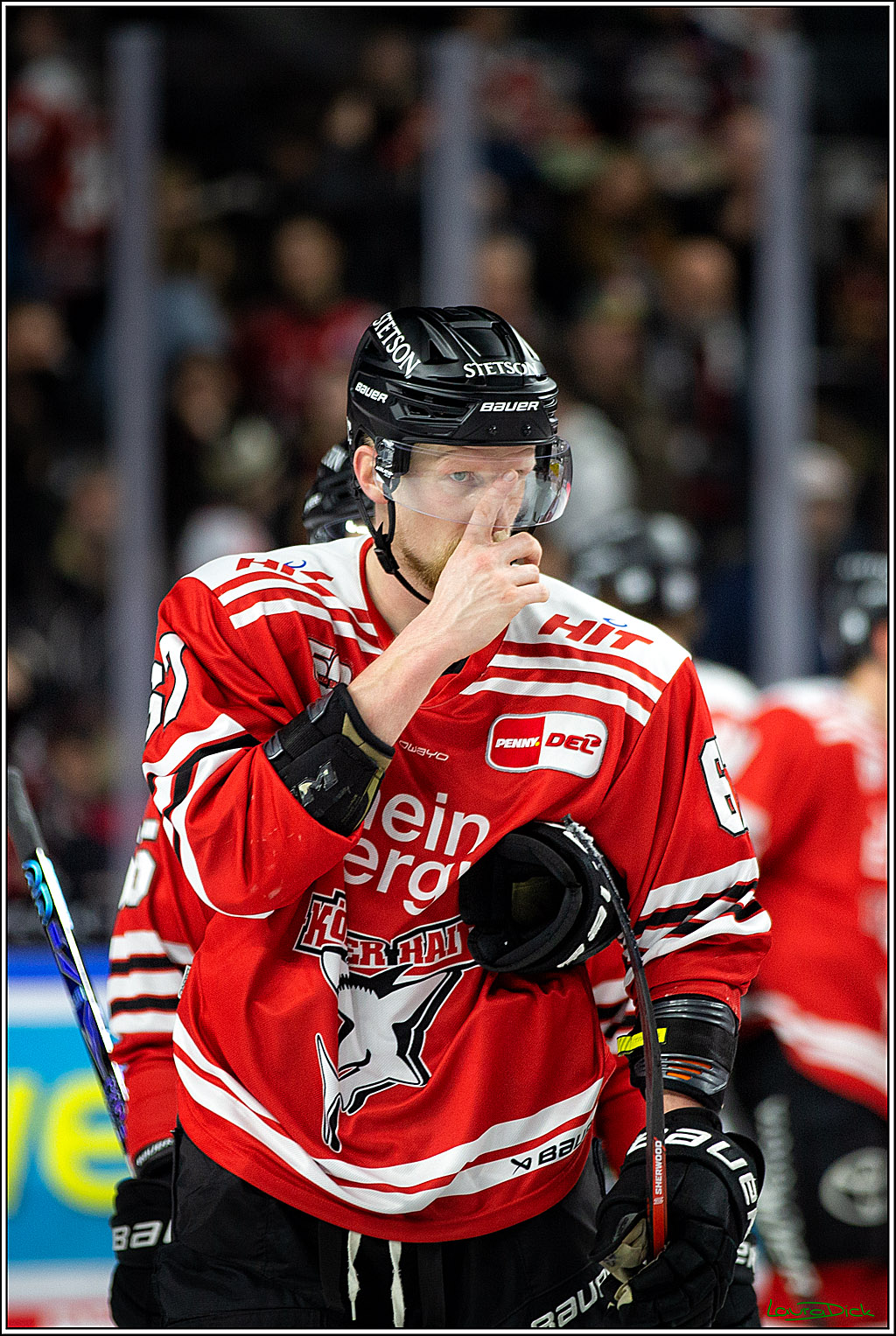 PENNY DEL; Koelner Haie- Schwenninger Wild Wings; Koeln, 18.01.2023